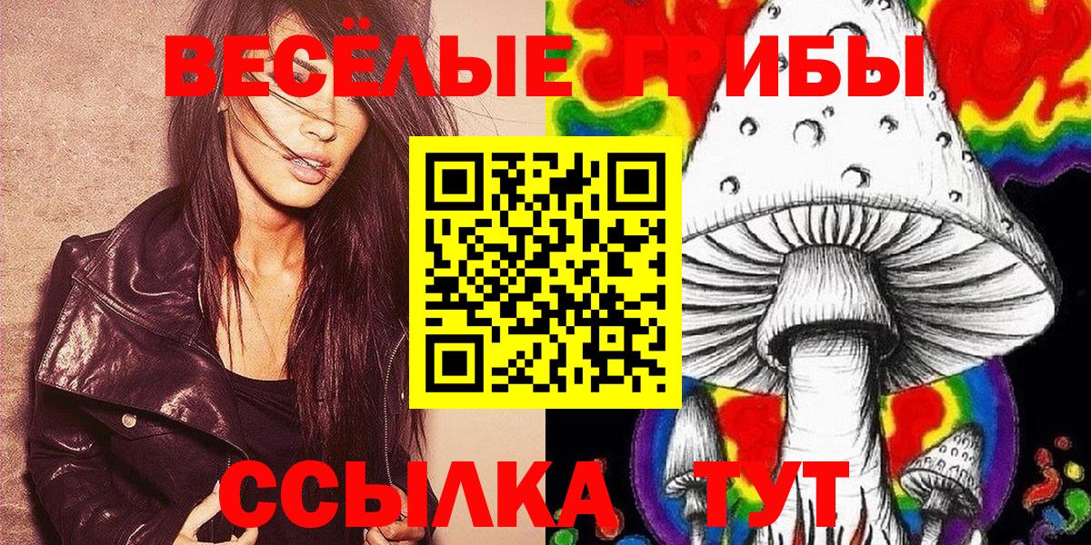 Чистополь  цена наркотик  Вход с VPN  Псилоцибиновые грибы Cubensis 